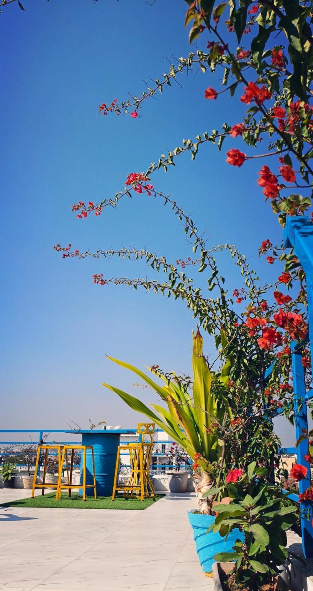 The Coral House Homestay By The Taj Agra  Exterior foto